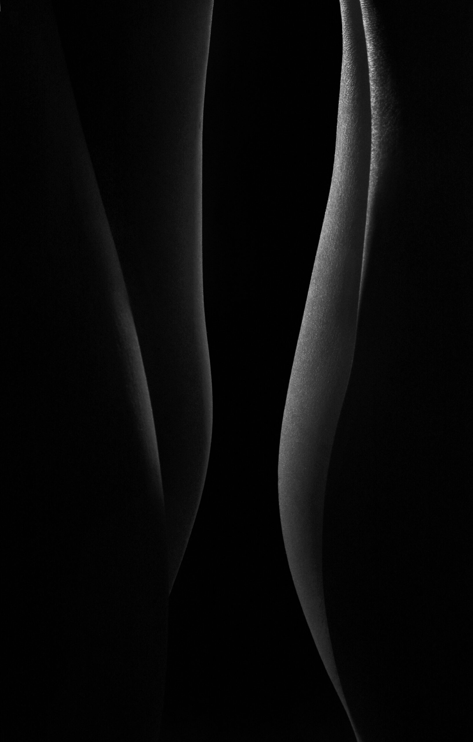 photo nu féminin noir et blanc